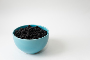 Black raspberry in a blue bowl. Organic raspberry on light background with copy space for text. Blackberry isolated