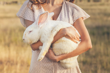 White rebbit in woman hands, cruelty free,  not tested on animals concept