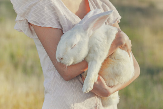 White rebbit in woman hands, cruelty free,  not tested on animals concept