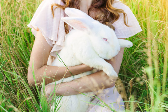 White rebbit in woman hands, cruelty free,  not tested on animals concept