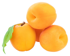 Apricot isolated on white background. Clipping Path