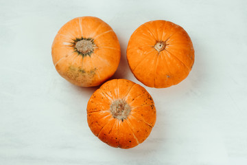 top view three pumpkins on a white background