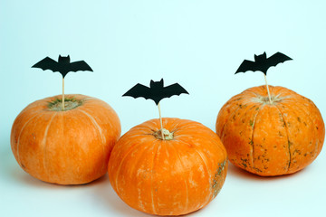 pumpkins decorated with paper cut bats on a white background