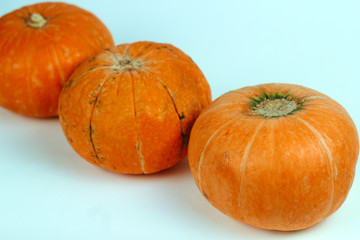 close up  row of  three pumpkins on a light blue background