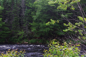 RIVIERE