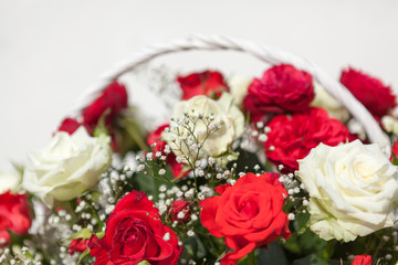 A bouquet of roses. Red and white roses i garden.