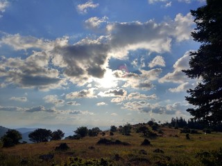 Cloudy sky on a hill near the forest