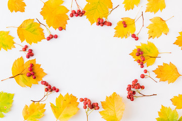 Naklejka na ściany i meble Flat lay frame with colorful autumn leaves and berries on a white background