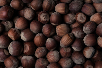 A detailed background of hazelnuts.