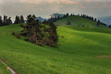 Obraz premium Pieniny