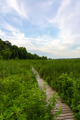 Wooden path at sunrise