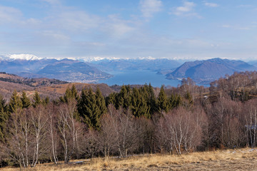 View of the Maggiore lake with the alps on the background, Piedmont, Italy.