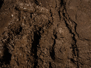 Sludgy mud texture