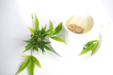 Fototapeta premium hemp tea . medical cannabis leaf