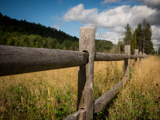 old wooden fence