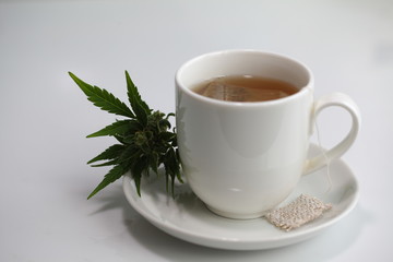 hemp tea .  medical cannabis leaf