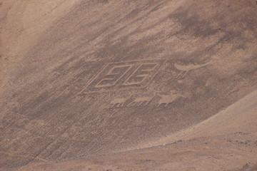 Fototapeta na wymiar Geoglifos de Pintados cerca de la ciudad de Iquique en el norte de Chile