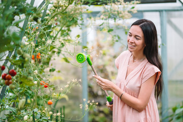 Young woman with basket of greenery and vegetables in the greenhouse. Harvesting time