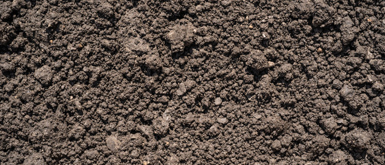 Dark brown crushed lowland peat, fertilizer and soil component - background for agriculture