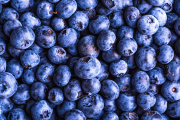 Ripe blueberry berries close-up - beautiful berry background, blueberry macro photo