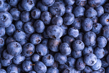 Ripe blueberry berries close-up - beautiful berry background, blueberry macro photo