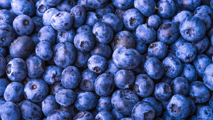 Many blueberry berries on a flat surface, top view, close-up. Background of berries, blueberries macro