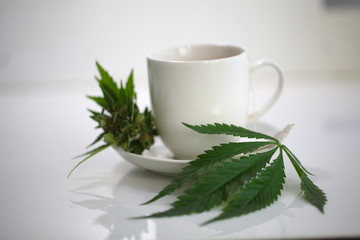 hemp tea .  medical cannabis leaf