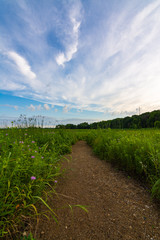 Dirt path at sunrise