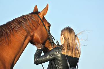 Blonde girl correcting bridle on a horse's head. Equestrian life.