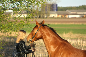 Blonde girl with a chestnut hore near farm. Equestrian life.