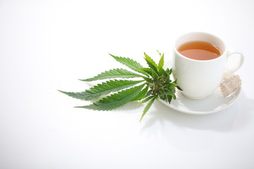 hemp tea .  medical cannabis leaf