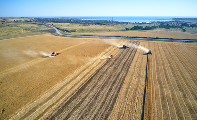 combine harvester harvests on the field