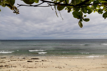 Appréciation sous un arbre
