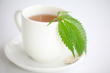 hemp tea .  medical cannabis leaf