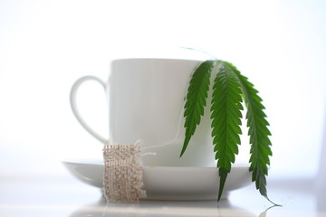 hemp tea .  medical cannabis leaf