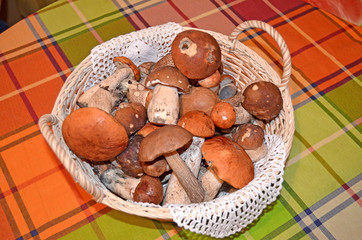 Wicker basket with mushrooms. Edible Mushrooms