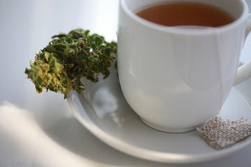 hemp tea .  medical cannabis leaf