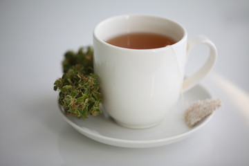 hemp tea .  medical cannabis leaf