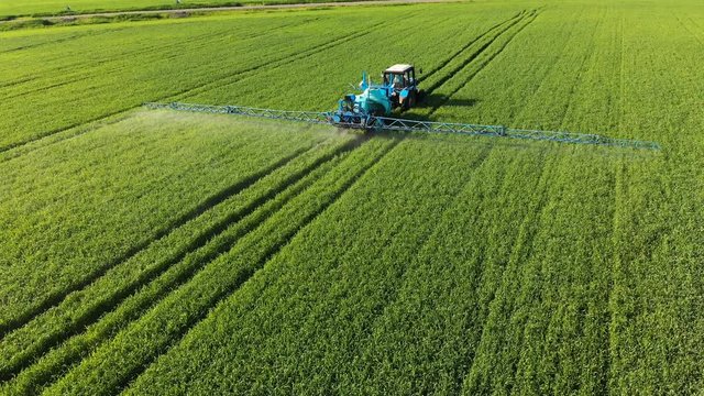 Aerial view of the tractor that irrigates the green field by special installation. The process of spraying field growths with pesticides and protection against insects of rodents, parasites and pests.
