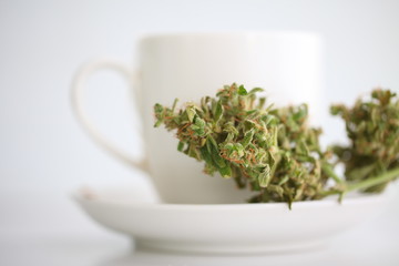hemp tea .  medical cannabis leaf