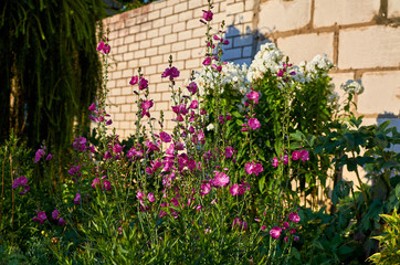  wonderful world around us