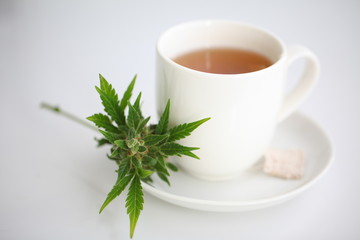 hemp tea .  medical cannabis leaf