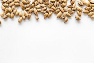 Almond frame on white background top view space for text