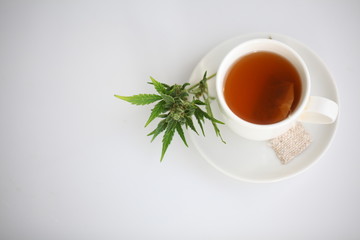 hemp tea .  medical cannabis leaf