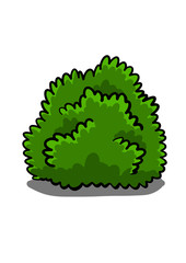 Hand drawn doodle bush isolated on white background for coloring book. Vector illustration.