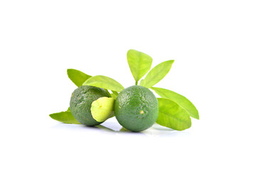 Calamansi on white background