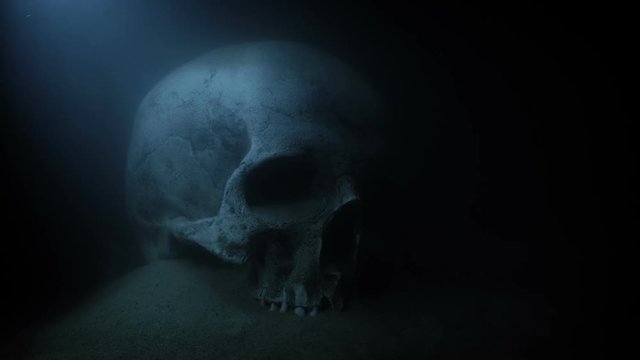 Skull Under Water In The Dark