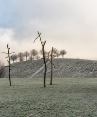 Gefrorene Pflanzen im Winter am Kronsberg (Hannover)