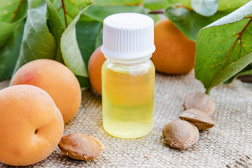 Apricot flavor oil and fresh apricots on a wooden table.