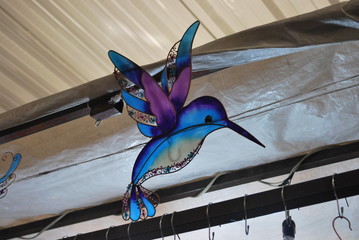 Colibrí © BrunoAgustin